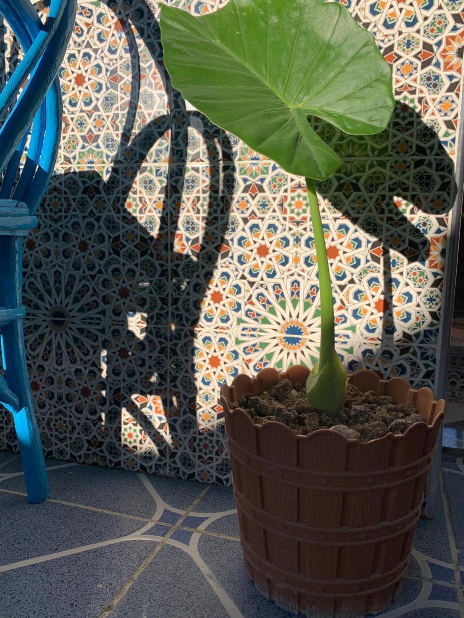 Beach House Asilah Exterior foto